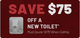 New Toilet Discount in Warrenton*